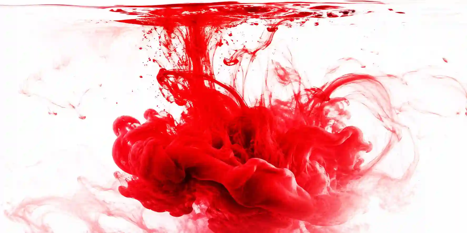 Qué significa soñar con sangre: interpretación psicológica, espiritual y simbólica